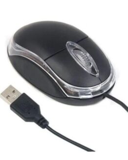 Raton USB